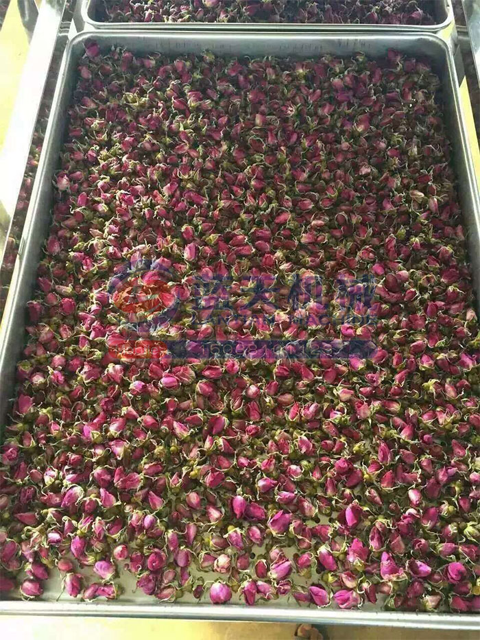 云南玫瑰花烘干機(jī)用戶(hù)現(xiàn)場(chǎng)
