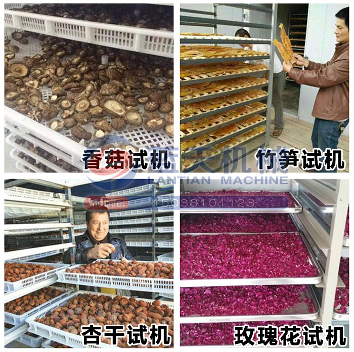 大型蔬菜烘干機(jī)試機(jī)現(xiàn)場(chǎng)